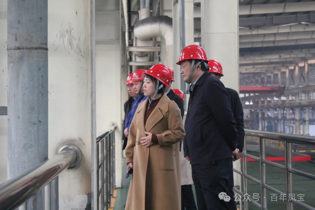 陈佳到乐动网页版登录入口_乐动（中国）调研
